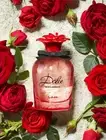 Dolce & Gabbana DOLCE ROSE Women’s Fragrance 75mL EDT New Perfume D&G BOXED