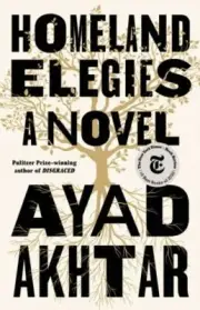 Homeland Elegies : a Novel by Ayad Akhtar (English) Hardcover, Brand New