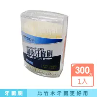 在飛比找momo購物網優惠-【剔爽牙籤刷第二代】BP2-OV300(魚骨造型牙籤刷300