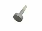 Genuine ILVE Oven Clock Button Silver