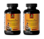 P Protein - MAXAMINO PLUS 1200 - Boosting The Immune System 2B