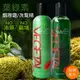 Maafei瑪菲葉綠素調理洗髮精/護髮乳 500ml/瓶 專業沙龍使用 洗髮精｜歡慶99★指定商品滿499折50。滿599折90。