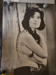 Vintage Poster Anouk Aimee 30x42 Original B&W