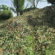 10m Extra Large Army Camouflage Netting Net Camo Woodland Hide Camping--/✜⇝
