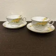 Okura Toen Mimosa Tea Cup Saucer Floral Pattern Gold