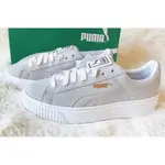 高品質 PUMA SUEDE PLATFORM 厚底 增高 淺灰 灰 麂皮 362223-08