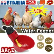 Poultry Chicken Automatic Drinker Cup Waterer Nipple Bird Water Feeder Bulk RO