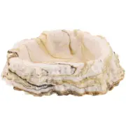 Reptile Tank Feeder Resin Food Bowl Reptile Cage Feeding Bowl Resin Reptile