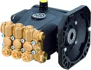 AR ANNOVI REVERBERI RCA2G22E-F8 2, 1750 RPM, 2.0 GPM, 2200 PSI, Standard, Metalic