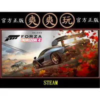 在飛比找蝦皮購物優惠-購買PC 爽爽玩 單人+多人連線 STEAM 極限競速：地平