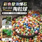 🍀蕨世好物購🍀（24H現貨)彩色發泡煉石墊底鋪面陶粒球 500G 水耕栽培介質 培菌 淨水 濾材 生物珠 陶瓷珠 水族