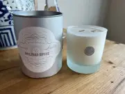 Linneas Lights Holiday Spice Soy Candle, 9 oz two-wick, NEW