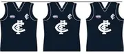 Carlton Blues Party Bunting