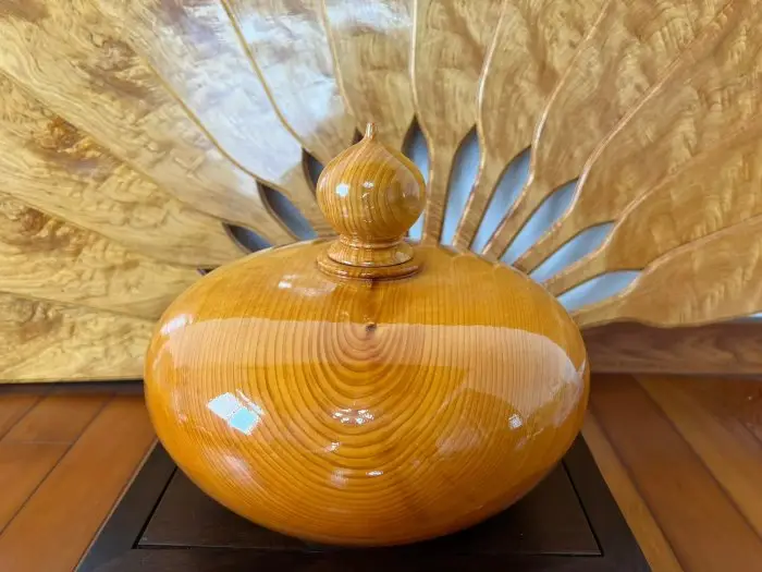 台灣黃檜聚寶盆的優惠比較- 2025年11月|飛比價格