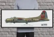 B-17G Flying Fortress - Princess Pat - Framed Panoramic Print 36" x 12" by Craig