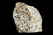 Dalmatian Jasper 2 1/2" 4-7 Oz Natural Root Chakra Metaphysical Healing Stone