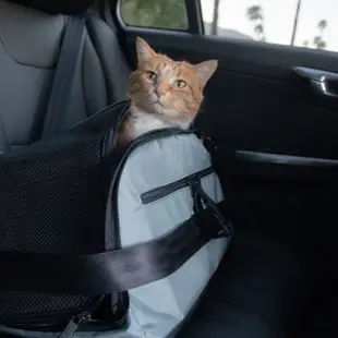 AIR寵物旅者飛航專用旅包-橘 | 貓狗適用 寵物包 外出籠 寵物提袋 狗用品 貓用品