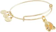 Alex and Ani Friends Holiday Armadillo Bangle Bracelet Brown One Size
