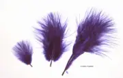Marabou Feathers Small 1-3" fluffs REGAL PURPLE 7 gram approx 105 per bag