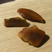 3 Agate Geode Slices Natural Brown Crystals with Cut and Polished Display Faces