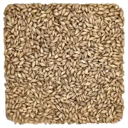 Rahr Standard 2 Row Malt 10 Lb for Home Brew Beer Making