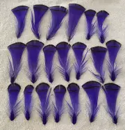 Pheasant Lady Amherst Feathers - Body Plumage Bright Purple 20 pcs upto 4”