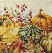 TWO Individual Paper Cocktail Decoupage Napkins - 1567 Pumpkins & Gourds