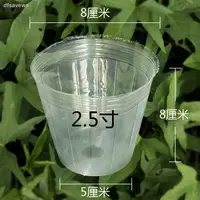 在飛比找蝦皮購物優惠-win 0907蝴蝶蘭花杯育苗種植栽培專用透明營養杯石斛營養