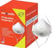 Moulded Raspirator Mask P1 Maxisafe RES501