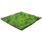 Artificial Moss Mat Faux Grass Decor Fake Grass Decorative Moss Decor Micro