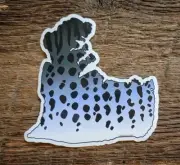 LAKE ST CLAIR MUSKY sticker decal muskie Michigan Ontario fly fishing 4 1/2"x4"