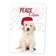 Labrador Love Holiday Card Pack / 25 Cards And Envelopes Pack/Festive Santa