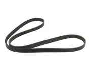 For 2000-2005 Mitsubishi Eclipse Multi Rib Belt Primary 64879TNBC 2003 2001 2002 (for: Mitsubishi)