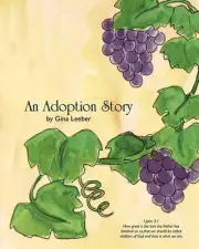 An Adoption Story by Gina Leeber (English) Paperback Book