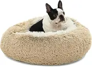 Charlie's Pet Dog Cat Cushioned Snookie Calming Hooded Bed Faux Fur Plush Corncob Material with a Hood Design and Anti Slip Base - Cream Artic White Small 60x60x15cm