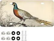 XYMZR License Plate Pheasant Retro Art Aluminum Decorative Car Front License Plate Vanity Tag Metal Car Plate for Men Women 6 × 12 Inch