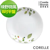 在飛比找ETMall東森購物網優惠-任-【美國康寧CORELLE】綠野微風8吋平盤