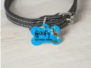 Pet ID Tag GOOFY Personalized Custom Double Sided Pet Tag w/name/number