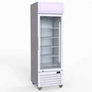 Thermaster 370L Single Glass Door Colourbond Upright Drink Fridge - Commercial Drink Fridges (LG-370P) - LG-370P