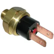 A/C Compressor Cut-Out Switch For Jaguar XJS 1993 1994 (for: Jaguar)
