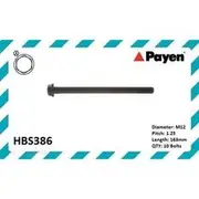 Payen Cylinder Head Bolt Set - HBS386