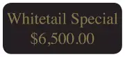 Printed Labels, 500 Custom .75" x 1.75" Rectangle Stickers, 1-color with bleed