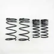 RS-R Super Down Springs for 90-99 Toyota Previa (TCR10W) (for: Toyota)