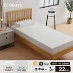 【TENDAYS】舒眠柔睡紓壓床墊3尺標準單人(22CM厚 可兩面睡 記憶床墊)