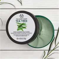 在飛比找蝦皮購物優惠-body shop 美體小舖 茶樹淨膚調理面膜-100ML