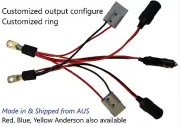 Ring terminal to Anderson fit/cigarette lighter socket/plug. Customized config.