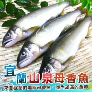 【歐呷私廚】宜蘭特選爆卵母香魚二盒-1KG/8~10尾/盒-免運