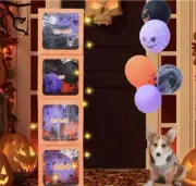 Halloween Office Baby Shower Party Wedding Decorations 4 Boxes Balloons Led