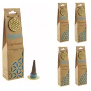 Organic Goodness Nag Champa Incense Cones - 60 Pack