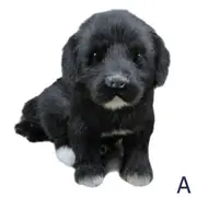 Realistic Black Dog Puppy Pet Plush Simulation Stuffed Animal Cuddly Doll T oy Small